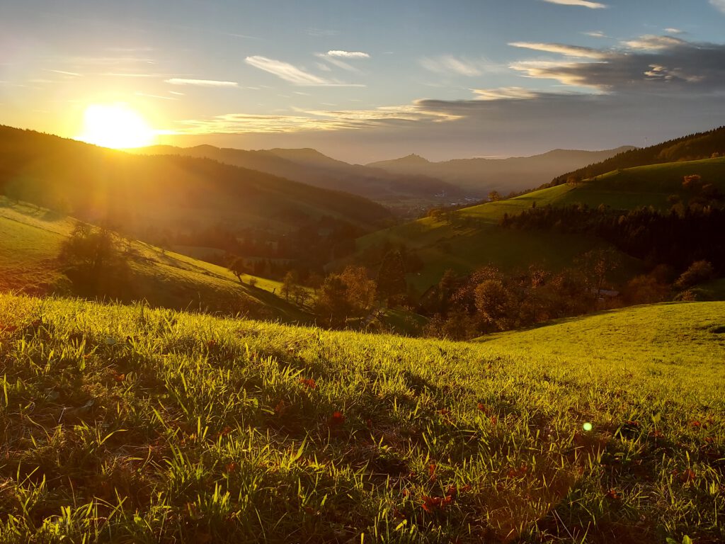 Ein Blick auf das Oberentersbachtal im Sonnenschein.
